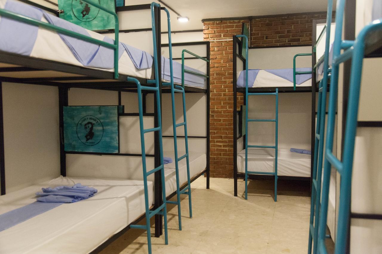 Bed in 10-Bed Mixed Dormitory Room